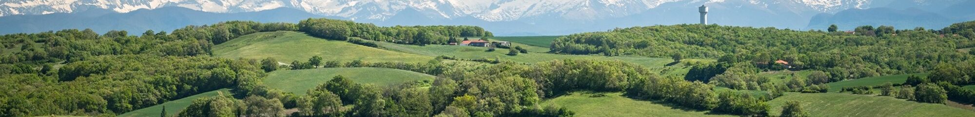 CONSEIL DEPARTEMENTAL DU GERS