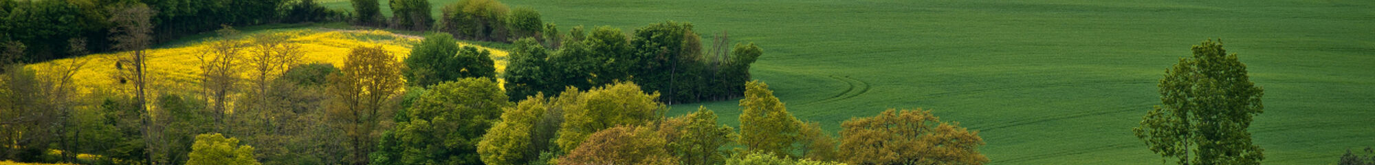 CC DES COLLINES DU PERCHE