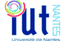 IUT DE NANTES