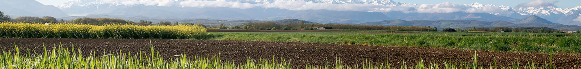 CONSEIL DEPARTEMENTAL DES HAUTES PYRENEES