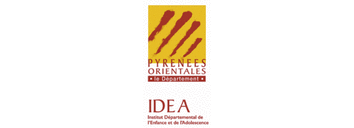 IDEA