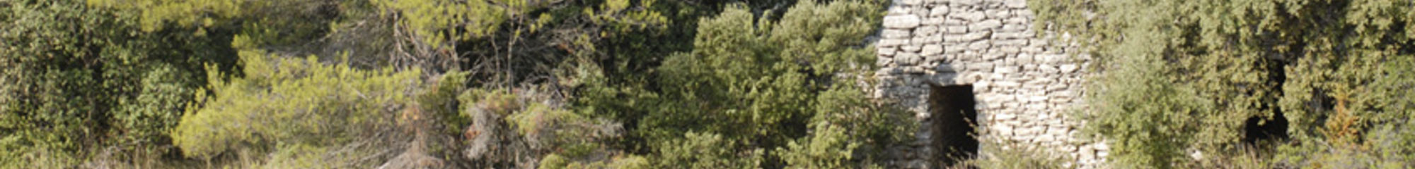 CONSEIL DEPARTEMENTAL DU VAUCLUSE