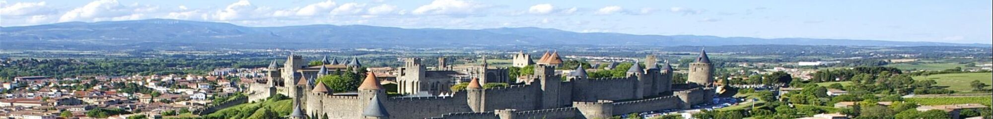 CONSEIL DEPARTEMENTAL DE L'AUDE