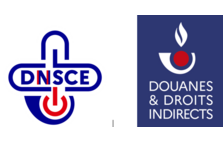 DNSCE