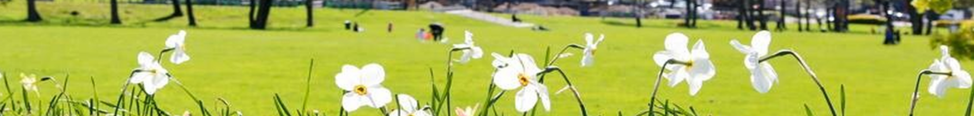 VILLE DE CLICHY SOUS BOIS