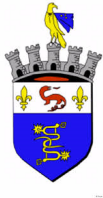 VILLE DU MESNIL LE ROI