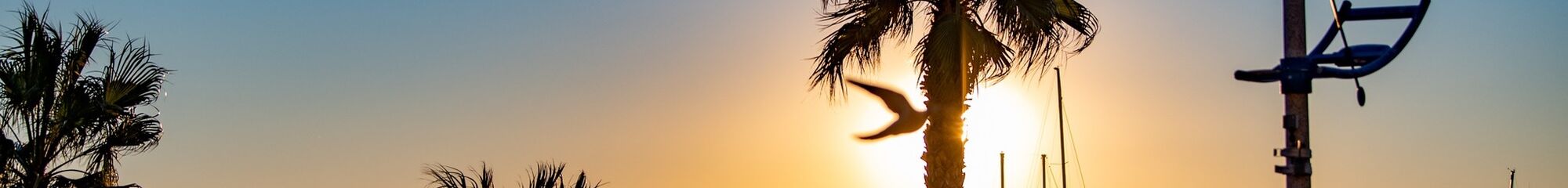 VILLE DE CAVALAIRE SUR MER