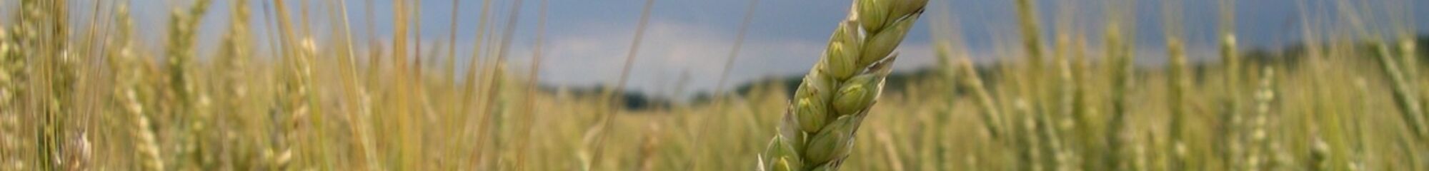 CHAMBRE REGIONALE D'AGRICULTURE DE BOURGOGNE FRANCHE COMTE