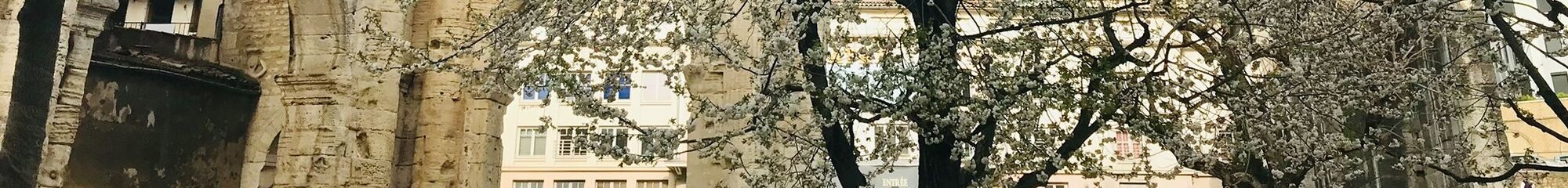 VIENNE CONDRIEU AGGLOMERATION