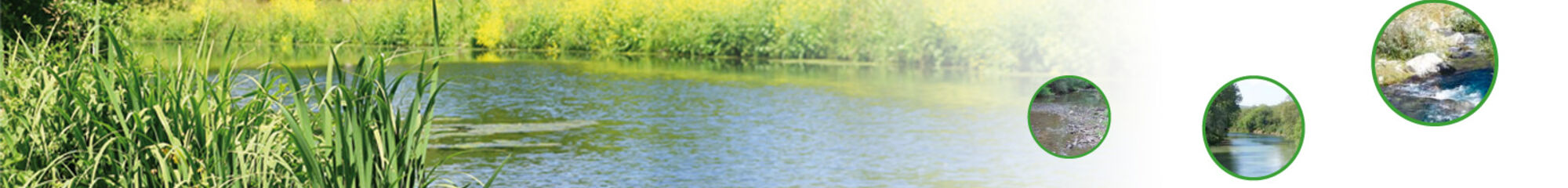 OFFICE FRANCAIS DE LA BIODIVERSITE