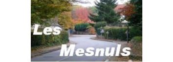 VILLE DE LES MESNULS