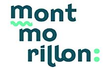 VILLE DE MONTMORILLON