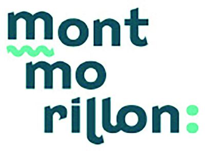 VILLE DE MONTMORILLON