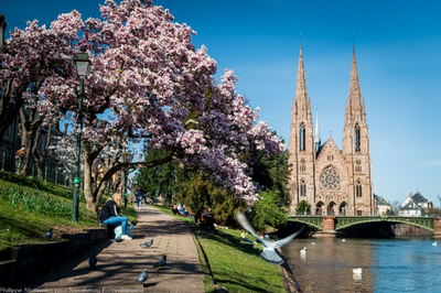 VILLE ET EUROMETROPOLE STRASBOURG 