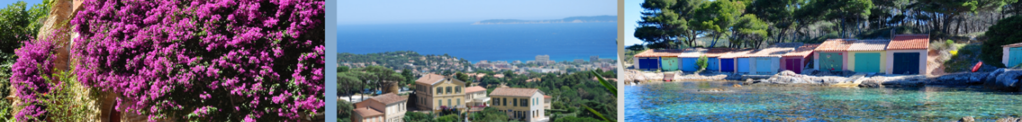 VILLE DE BORMES LES MIMOSAS