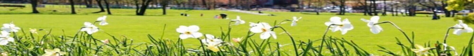 VILLE DE CLICHY SOUS BOIS