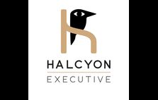 HALCYON EXECUTIVE